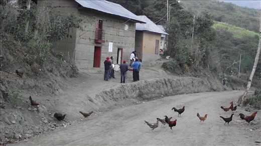 la banda también despertó a las gallinas!