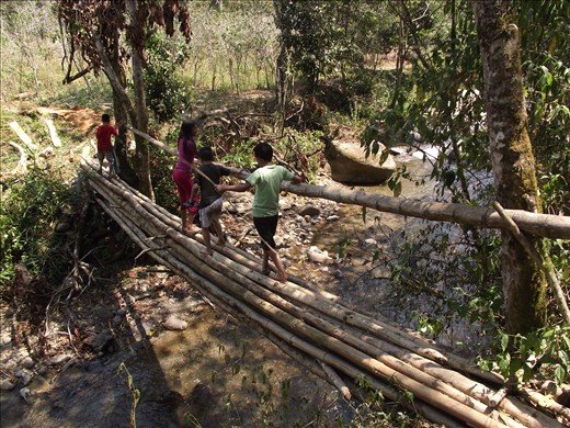puente para llegar al río