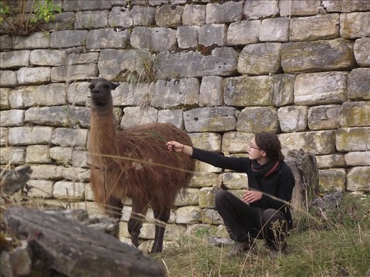 Lucía intentando hacer amigos...