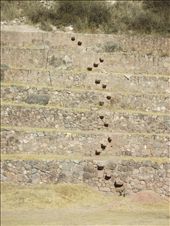 by tempolibre, Views[216]