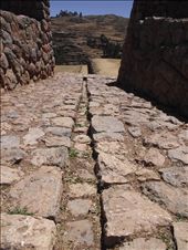 by tempolibre, Views[235]