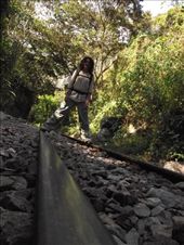 by tempolibre, Views[241]