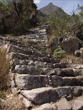 le genre d'escaliers qu'on a monté toute la matinée...: by tempolibre, Views[431]