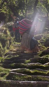 les escaliers de l'Ile du Soleil: by tempolibre, Views[180]