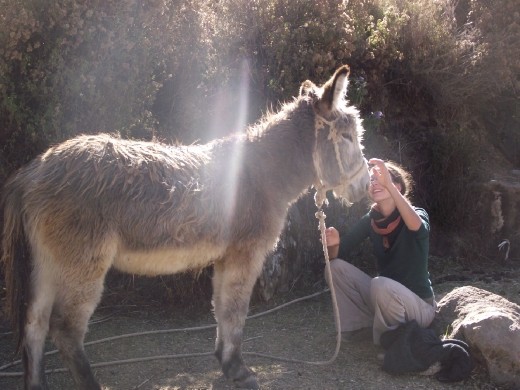 Lucie se fait toujours des amis