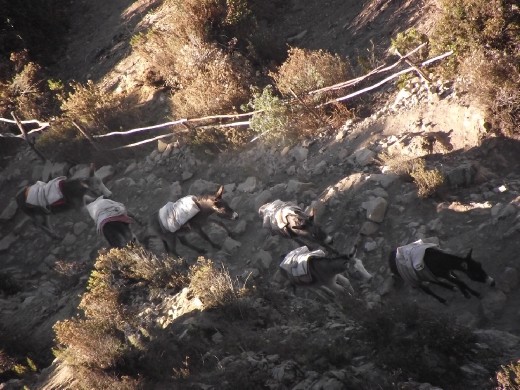 transport de marchandises