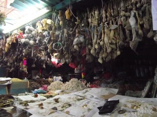 stand de sorcellerie