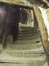 by tempolibre, Views[438]