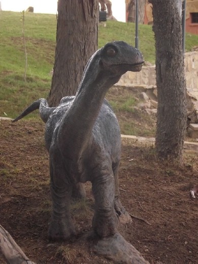 Petit Pied est à Sucre!