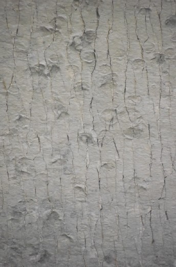 la falaise aux traces de dinosaures