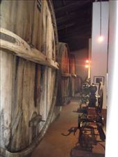 by tempolibre, Views[135]