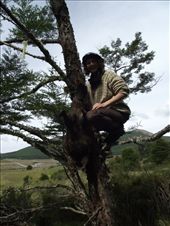 le castor de Lucie!: by tempolibre, Views[319]