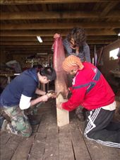 by tempolibre, Views[236]