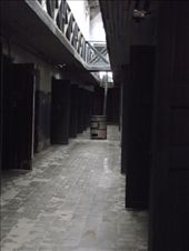 by tempolibre, Views[278]