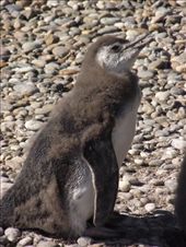 by tempolibre, Views[218]