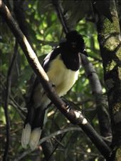 by tempolibre, Views[239]