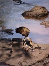 by tempolibre, Views[224]