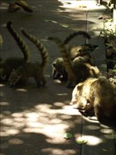 by tempolibre, Views[203]