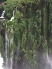 by tempolibre, Views[221]