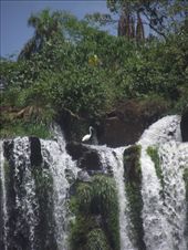 by tempolibre, Views[406]