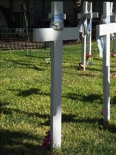 Les tombes des disparus pendant la dictature: by tempolibre, Views[212]