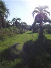 Le parc naturel: by tempolibre, Views[186]