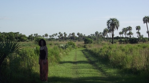 Le parc naturel avec Aurore dedans :-)