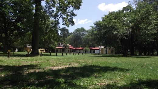 Les batiements du parc