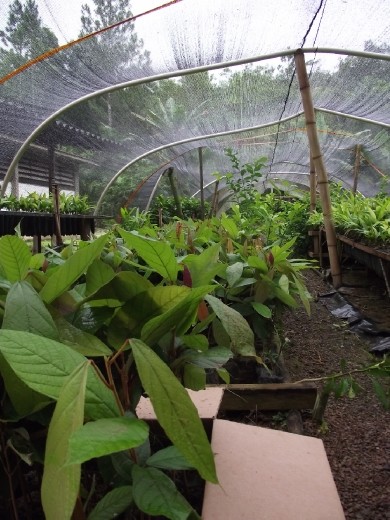 Morretes - centre agronomique