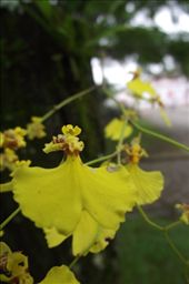 Morretes: by tempolibre, Views[135]