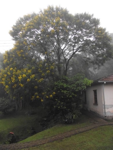 Tren Morretes - Curitiba