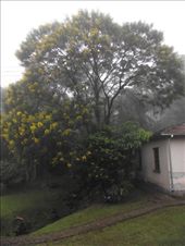 Tren Morretes - Curitiba: by tempolibre, Views[176]