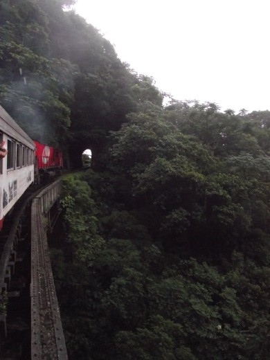 Tren Morretes - Curitiba
