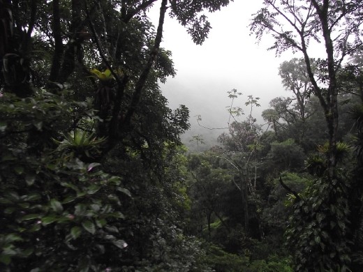 Tren Morretes - Curitiba
