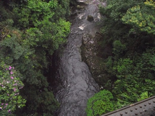 Tren Morretes - Curitiba