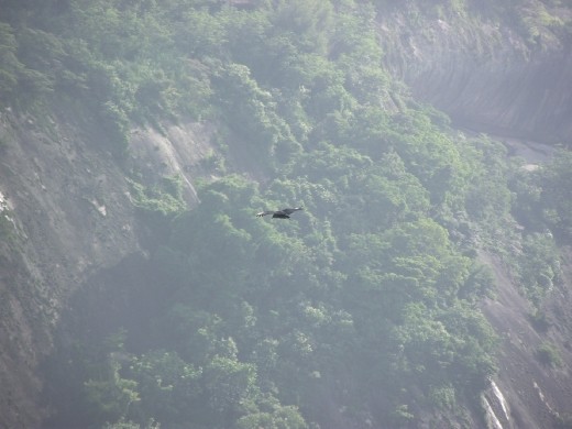 Rio Pão de Açúcar