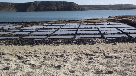 Las Salinas