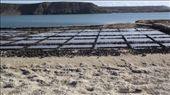 Las Salinas: by tempolibre, Views[168]