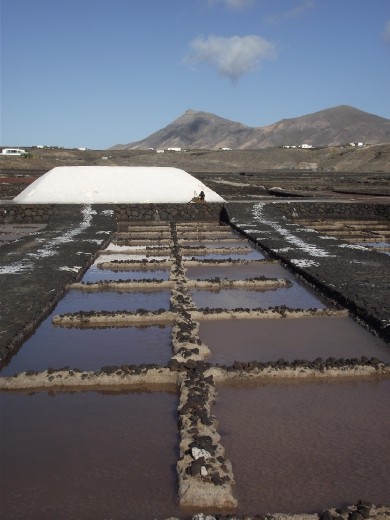 Las Salinas