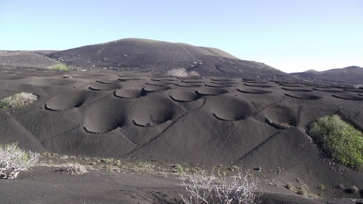 Les protection contre le vent
