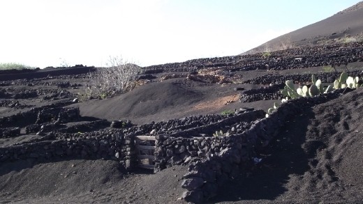 Les protection contre le vent