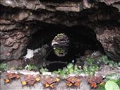 Los jameos del agua: by tempolibre, Views[216]