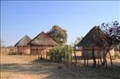 About 30km from the nearest town, Masvingo, and a further 4km from the main highway is my maternal rural homestead. I decided to take my partner to experience life as I did as a child. We used to spend almost every school holiday at the homestead with no running water and no electricity. There was nothing but the natural environment to keep us occupied. Life at my maternal rural homestead is close to pre-colonial Shona life. The left hut is used for grain storage, the middle hut is the kitchen, and the right hut is used for storing meat and making home brew beer.: by tendai_t, Views[809]
