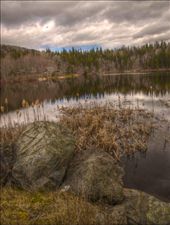 Even whe the sun does not shine, the natural beauty does: by terac, Views[286]