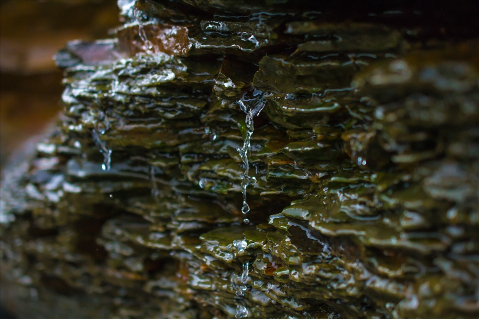 seaside caves can hold so much beauty and depth