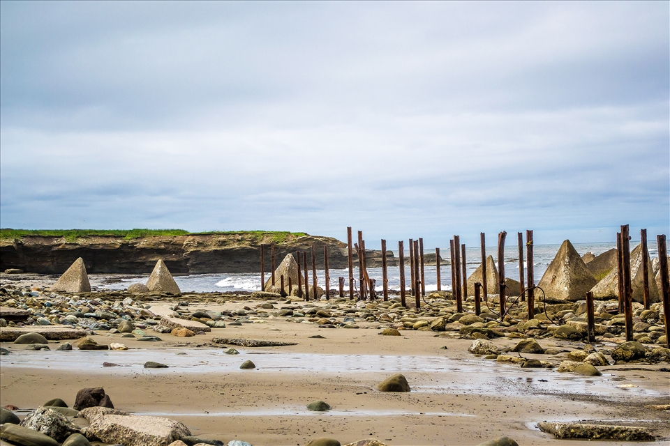 The ocean is my home and it will always have my heart