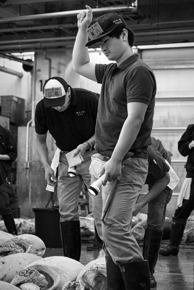 The enthusiasm shown by the auctioneer creates an encouraging atmosphere for bidders to participate. While the session is ongoing, one bidder’s attention is not completely diverted away from the tunas. Determined to win his desired lot, he keeps his hand up while others examine the remaining lots behind.