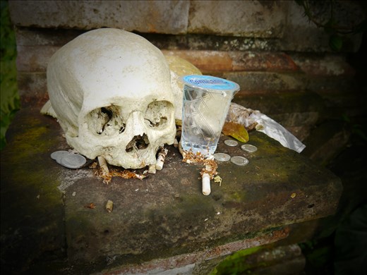A human skull and garbage at the Entrance of Trunyan animist cemetery
