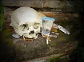 A human skull and garbage at the Entrance of Trunyan animist cemetery: by teresa-tck, Views[422]