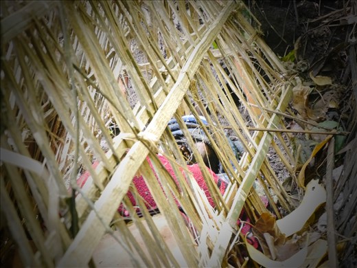 A human body decomposing, no smell in the air